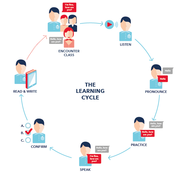 WSE Blended Method - Eğitim Döngüsü